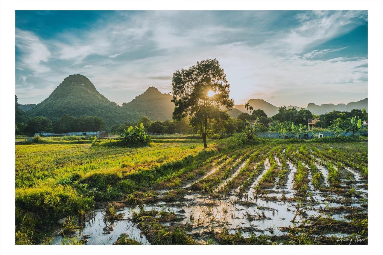 An Thai Homestay And Bar Ninh Binh Exterior photo
